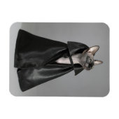 Kutest Baby Animals | Sphynx Hairless Cat Magneet (Horizontaal)