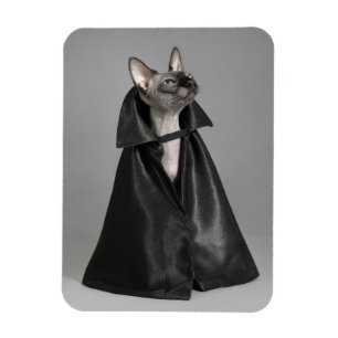 Kutest Baby Animals Sphynx Hairless Cat Magneet