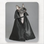 Kutest Baby Animals | Sphynx Hairless Cat Muismat (Voorkant)