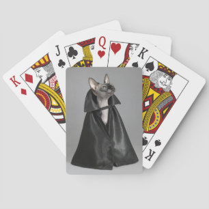 Kutest Baby Animals   Sphynx Hairless Cat Pokerkaarten