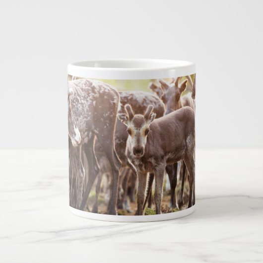 Kutest Baby Animals | Svalbard Reindeer Grote Koffiekop (Voorkant)