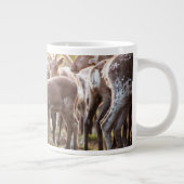 Kutest Baby Animals | Svalbard Reindeer Grote Koffiekop (Rechts)