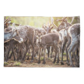 Kutest Baby Animals | Svalbard Reindeer Kussensloop (Achterkant)