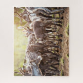 Kutest Baby Animals | Svalbard Reindeer Legpuzzel (Verticaal)