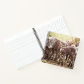 Kutest Baby Animals | Svalbard Reindeer Notitieboek (Binnen)