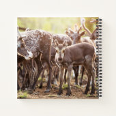 Kutest Baby Animals | Svalbard Reindeer Notitieboek (Achterkant)