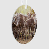 Kutest Baby Animals | Svalbard Reindeer Ornament (voorkant)