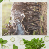 Kutest Baby Animals | Svalbard Reindeer Theedoek (Gevouwen)