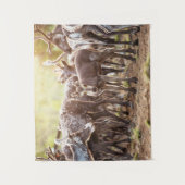 Kutest Baby Animals | Svalbard Reindeer Wandkleed (Voorkant)