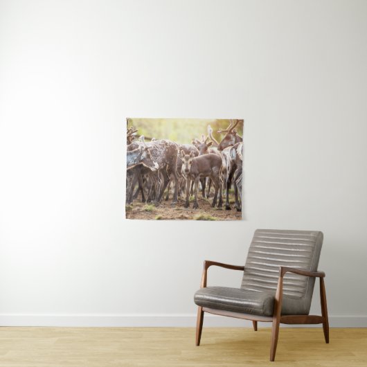 Kutest Baby Animals | Svalbard Reindeer Wandkleed (In Situ (horizontaal))
