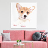 Kutest Baby Animals | Sweet Baby Corgi Canvas Afdruk (Insitu (Woonkamer))
