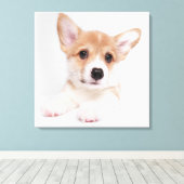 Kutest Baby Animals | Sweet Baby Corgi Canvas Afdruk (Insitu (Houten vloer))