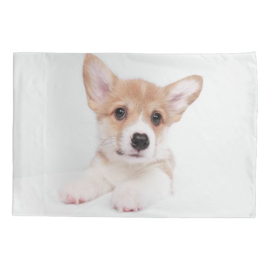 Kutest Baby Animals | Sweet Baby Corgi Kussensloop (Achterkant)