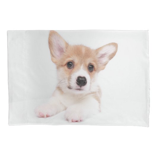 Kutest Baby Animals | Sweet Baby Corgi Kussensloop (Voorkant)
