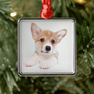Kutest Baby Animals Sweet Baby Corgi Metalen Ornament