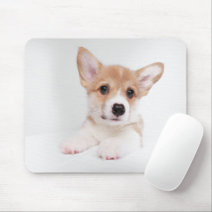 Kutest Baby Animals Sweet Baby Corgi Muismat