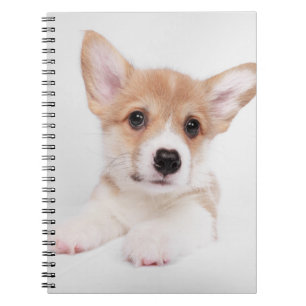 Kutest Baby Animals   Sweet Baby Corgi Notitieboek