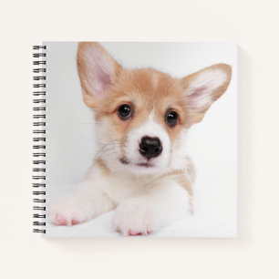 Kutest Baby Animals Sweet Baby Corgi Notitieboek