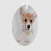 Kutest Baby Animals | Sweet Baby Corgi Ornament (voorkant)