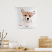 Kutest Baby Animals | Sweet Baby Corgi Poster (Keuken)