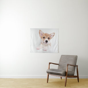 Kutest Baby Animals   Sweet Baby Corgi Wandkleed