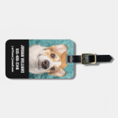 Kutest Baby Animals | Sweet Corgi Puppy Face Bagagelabel (Voorkant horizontaal)