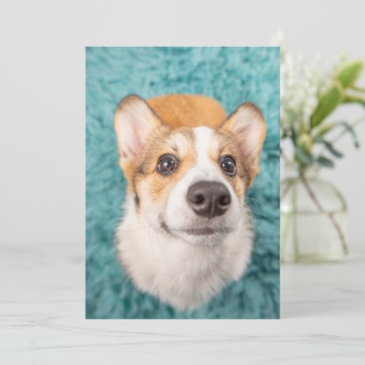 Kutest Baby Animals | Sweet Corgi Puppy Face Bedankkaart (Staand voorkant)