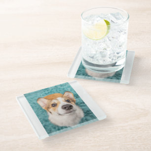 Kutest Baby Animals   Sweet Corgi Puppy Face Glazen Onderzetter