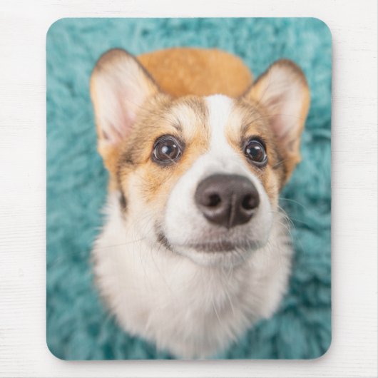 Kutest Baby Animals | Sweet Corgi Puppy Face Muismat (Voorkant)