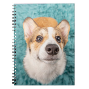 Kutest Baby Animals   Sweet Corgi Puppy Face Notitieboek