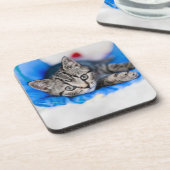 Kutest Baby Animals | Tabby Kitten in Play Tunnel Bier Onderzetter (Linkerzijde)