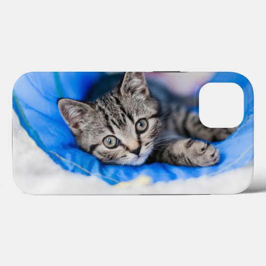 Kutest Baby Animals | Tabby Kitten in Play Tunnel Case-Mate iPhone Case (Achterkant (horizontaal))