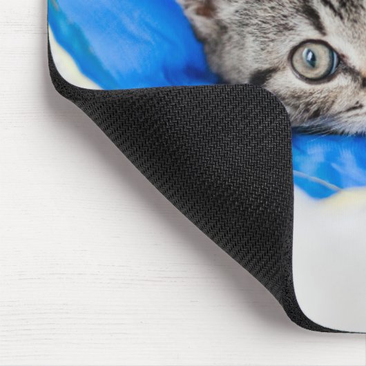 Kutest Baby Animals | Tabby Kitten in Play Tunnel Muismat (Hoek)