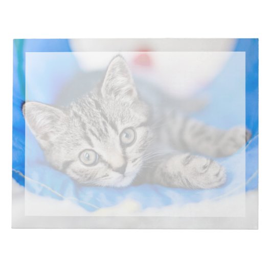 Kutest Baby Animals | Tabby Kitten in Play Tunnel Notitieblok (Voorkant)