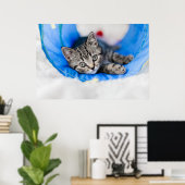 Kutest Baby Animals | Tabby Kitten in Play Tunnel Poster (Thuiskantoor)