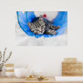 Kutest Baby Animals | Tabby Kitten in Play Tunnel Poster (Keuken)