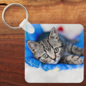 Kutest Baby Animals | Tabby Kitten in Play Tunnel Sleutelhanger (Voorkant)