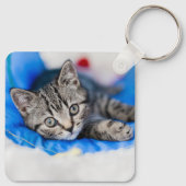 Kutest Baby Animals | Tabby Kitten in Play Tunnel Sleutelhanger (Achterkant)