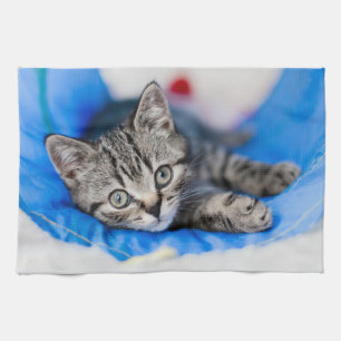 Kutest Baby Animals   Tabby Kitten in Play Tunnel Theedoek