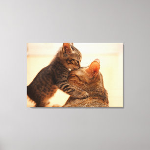 Kutest Baby Animals   Tabby Kitten Kiss Canvas Afdruk