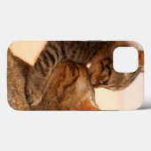 Kutest Baby Animals | Tabby Kitten Kiss Case-Mate iPhone Case (Achterkant (horizontaal))