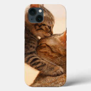 Kutest Baby Animals Tabby Kitten Kiss Case-Mate iPhone Case