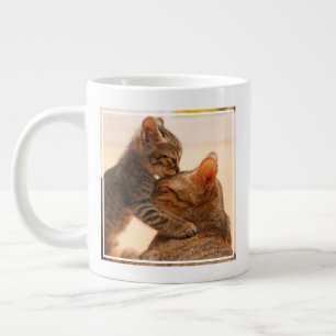Kutest Baby Animals   Tabby Kitten Kiss Grote Koffiekop