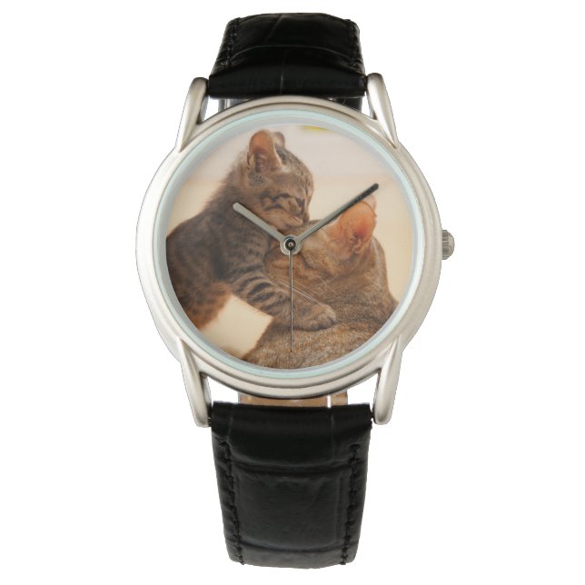 Kutest Baby Animals | Tabby Kitten Kiss Horloge (Voorkant)