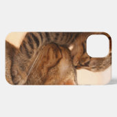 Kutest Baby Animals | Tabby Kitten Kiss iPhone Hoesje (Achterkant horizontaal)