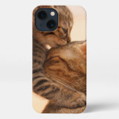 Kutest Baby Animals | Tabby Kitten Kiss iPhone Hoesje (Achterkant)
