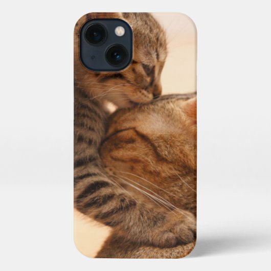 Kutest Baby Animals | Tabby Kitten Kiss iPhone Hoesje (Achterkant)