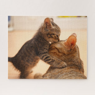 Kutest Baby Animals   Tabby Kitten Kiss Legpuzzel
