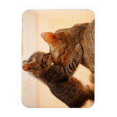 Kutest Baby Animals | Tabby Kitten Kiss Magneet (Verticaal)