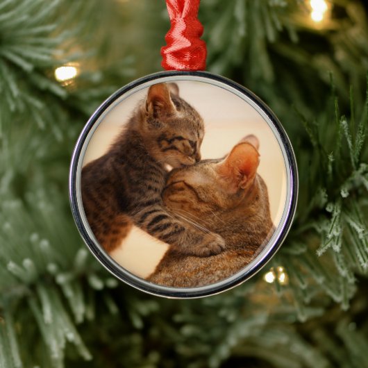 Kutest Baby Animals | Tabby Kitten Kiss Metalen Ornament (Boom)